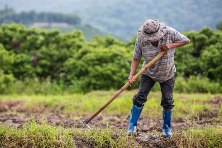 ATENÇÃO: Aposentadoria por Idade RURAL - Dr. CAIRO EXPLICA! - O FÓRUM de CÍCERO