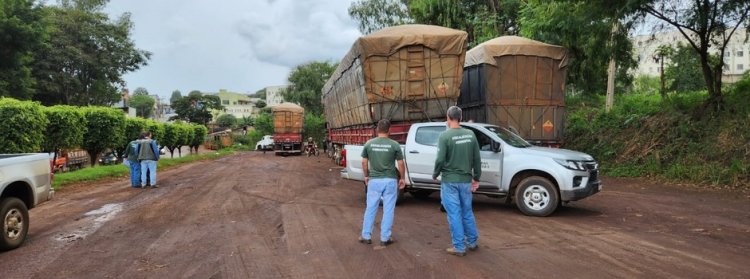 Fiscais Ambientais autuam em MINAS - Operação da SEMAD