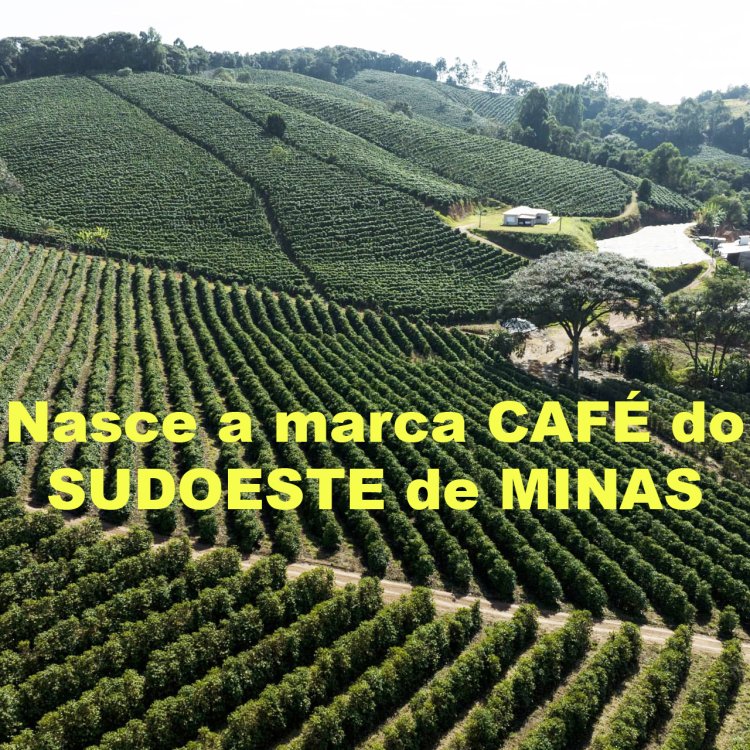 Cafeicultores do Sudoeste se unem em torno de sua MARCA de QUALIDADE