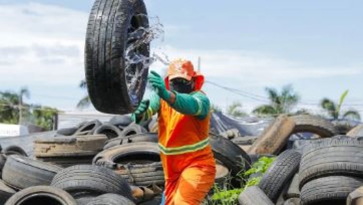 Dia D de combate à dengue