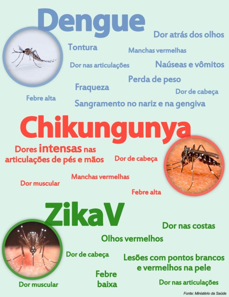 Dengue, Chikungunya e Zika: Preocupação CONSTANTE em MINAS