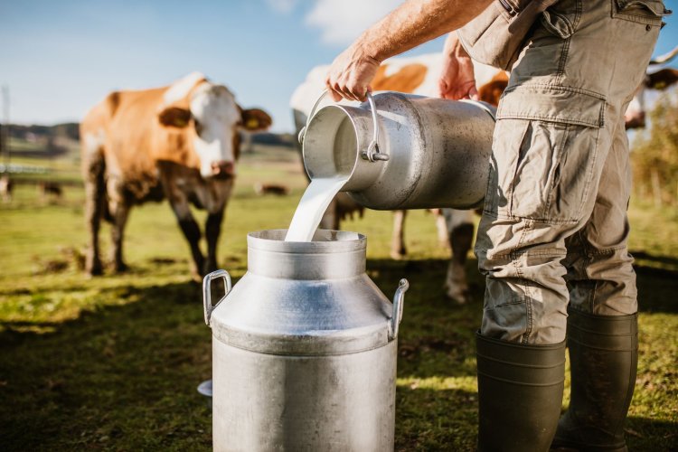 Minas Grita pelo Leite - Produtores de Leite em CRISE