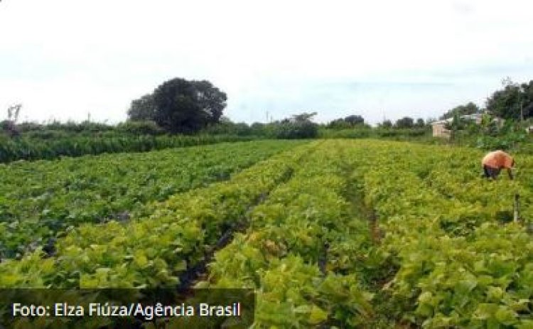 NOVA Lei para o Imposto Territorial Rural (DITR)