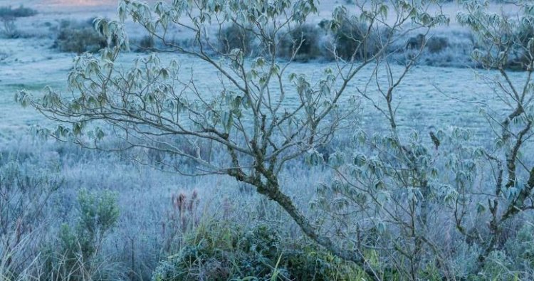 ALERTA: Temperaturas podem variar entre 0°C e 34°C