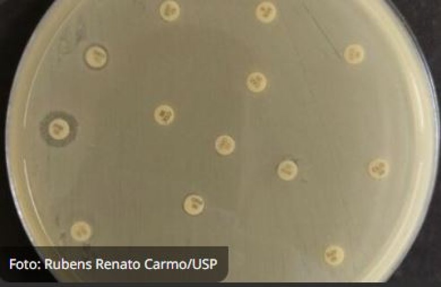 Bactéria multirresistente aparece no BRASIL