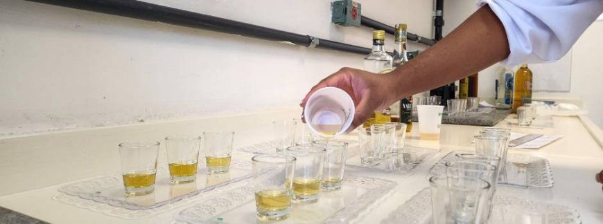 É amanhã: A premiação 2024 da melhor cachaça de MINAS GERAIS!