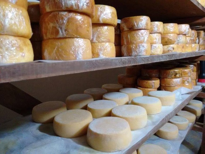 Dia do Queijo: Minas Gerais celebra tradição, inovação e reconhecimento da Unesco