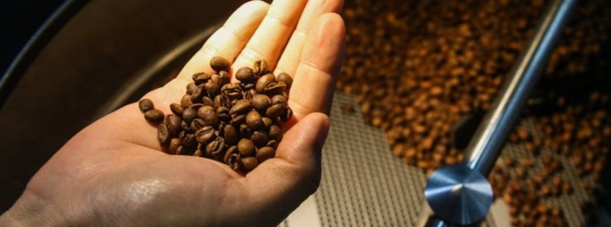 Impactos do Acordo Mercosul e União Européia (UE): Oportunidades para Minas Gerais