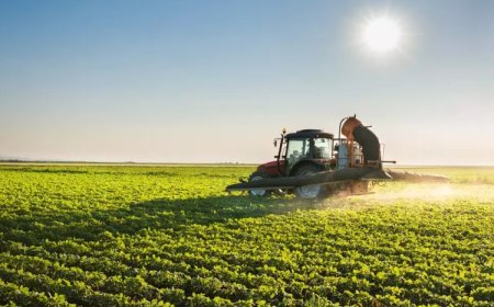 Agro supera mineração e lidera exportações em MINAS GERAIS