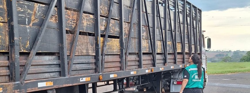 Consulta on-line de GTA amplia segurança e rastreabilidade agropecuária em Minas Gerais
