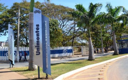 Unimontes tem boas notas no Enade