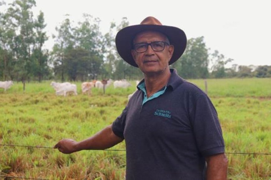 Pecuaristas de Minas investem em leilões