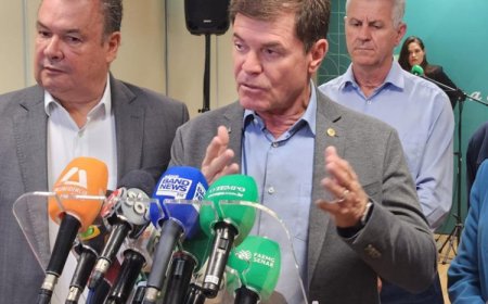 PIB do agronegócio mineiro alcança R$ 235 bilhões em 2024