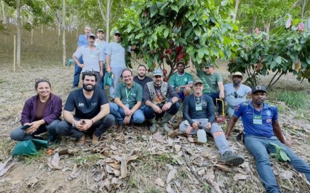 Curso piloto de cacauicultura capacita produtores em Raul Soares