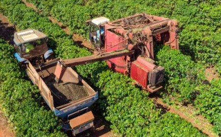 Agronegócio terá crédito do FAT para inovação e máquinas