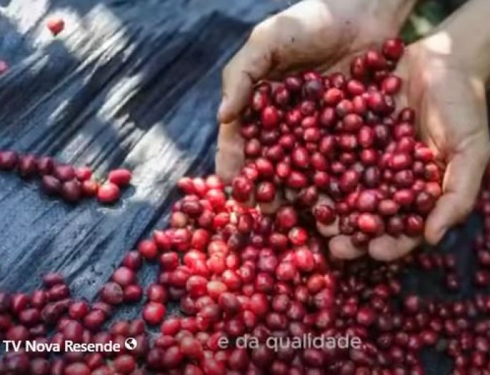 Dia do Café: Em destaque a origem e qualidade dos cafés do Brasil