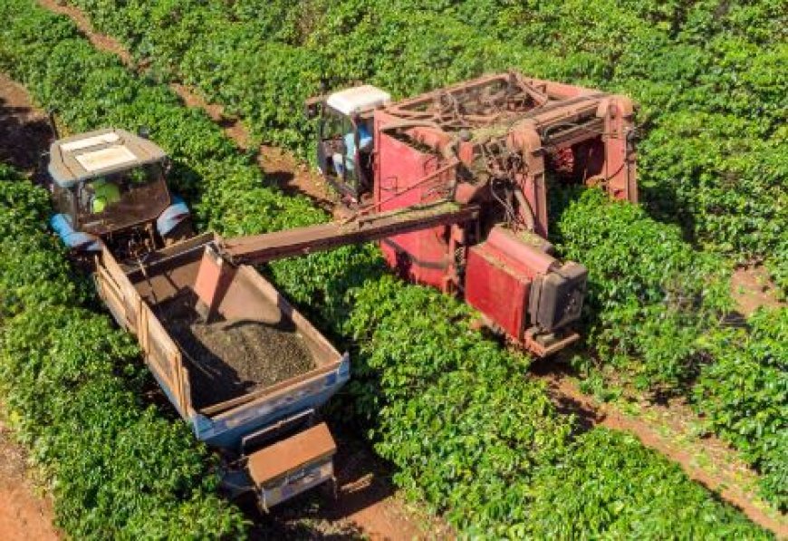 Agronegócio terá crédito do FAT para inovação e máquinas