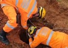 Cão é salvo após cair em buraco de obra em Guaranésia