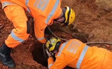Cão é salvo após cair em buraco de obra em Guaranésia