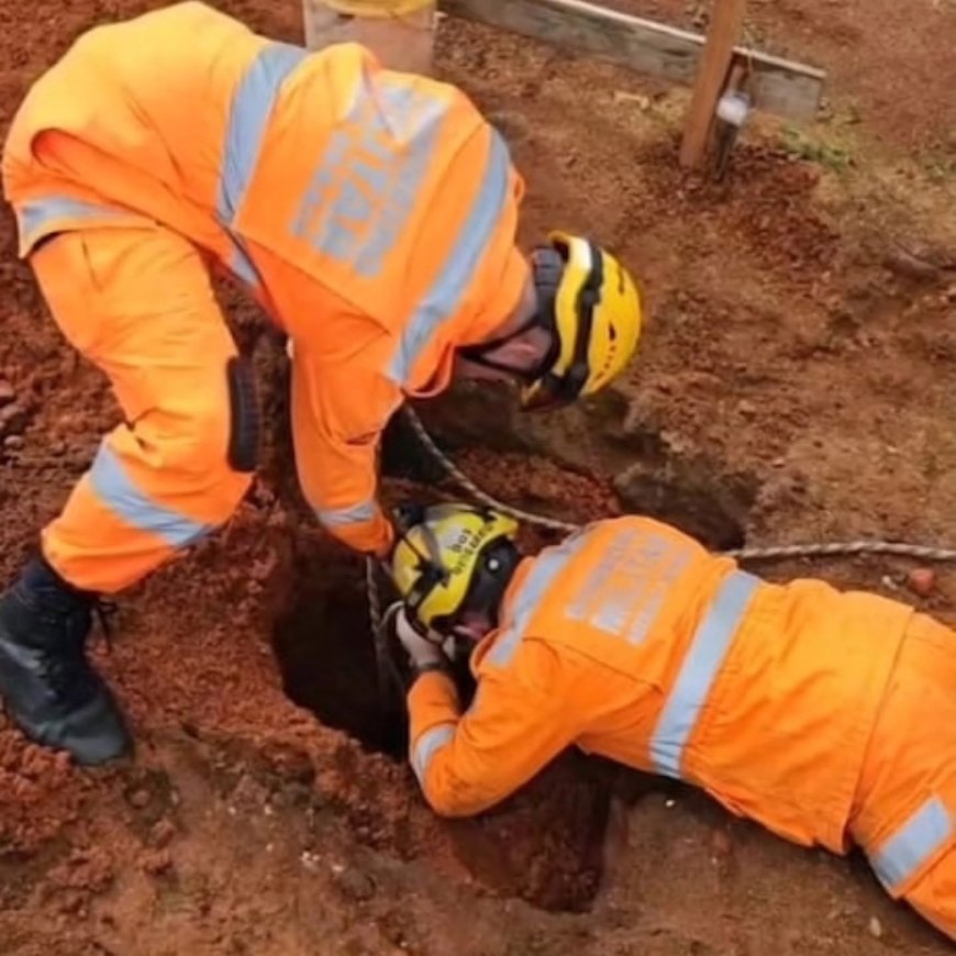 Cão é salvo após cair em buraco de obra em Guaranésia