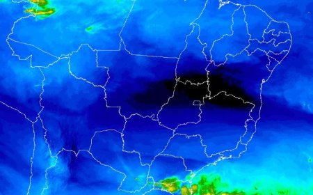 Previsão do tempo: Café do sudoeste mineiro segue favorecido