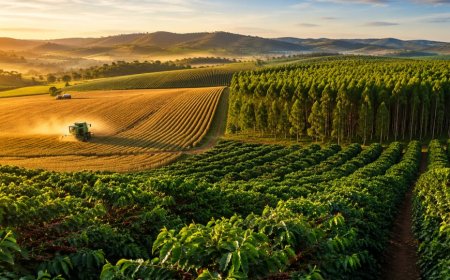 Agro é artilheiro da economia de Minas